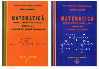 Manual matematică Clasa 12 M1 - 2 Volume 2007
