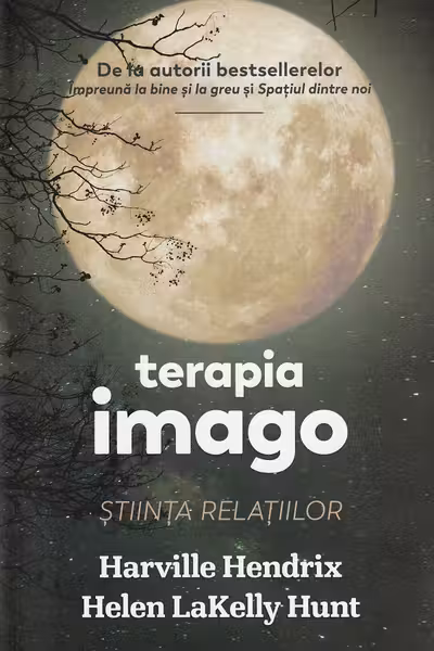 Terapia imago