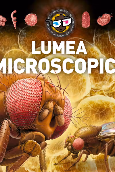 Lumea microscopica - 3D