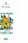 Cele mai folosite 17 plante pentru vindecare