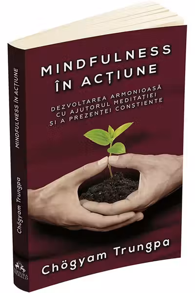Mindfulness in actiune