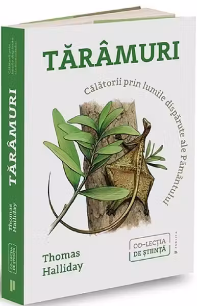 Taramuri
