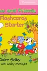 Hippo and Friends Starter Flashcards
