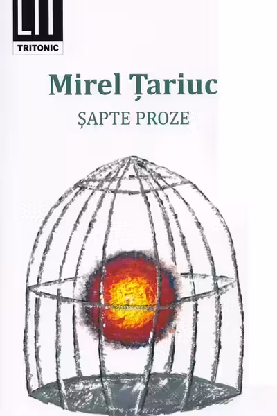 Șapte proze