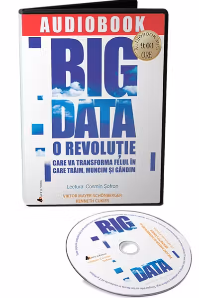Audiobook. Big Data