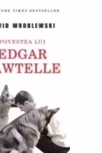 Povestea lui Edgar Sawtelle
