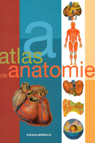Atlas de anatomie