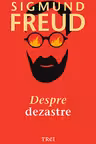 Despre dezastre