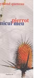 Pierrot amicul meu