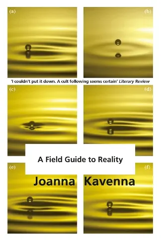 A Field Guide to Reality