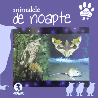 Animalele de noapte