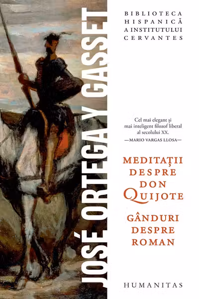 Meditatii despre Don Quijote