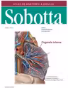 Atlas de anatomie a omului Sobotta. Organele interne, volumul 2