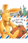 Scrisori de la Felix - Annette Langen. Ilustratii de Constanza Droop