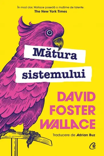 Matura sistemului