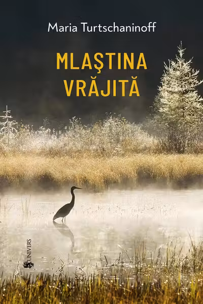 Mlastina vrajita