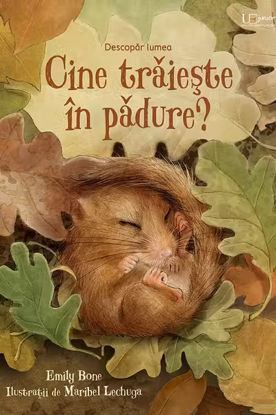 Cine traieste in padure? (Usborne)