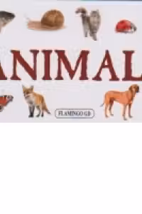Animale - pliant cartonat