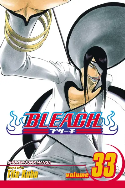 Bleach - Volume 33
