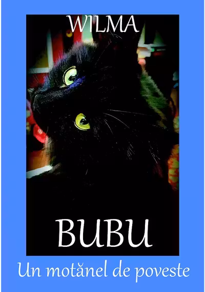 Bubu, un motănel de poveste