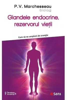 Glandele endocrine, rezervorul vietii