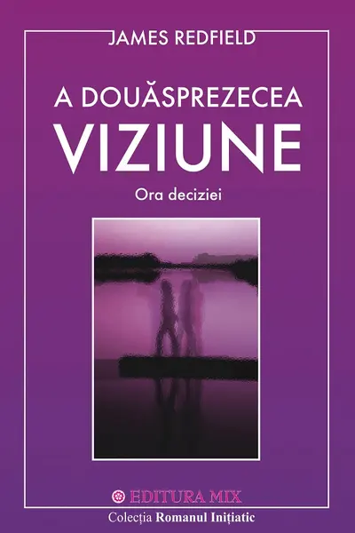 A 12 viziune