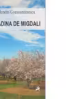 Gradina de migdali