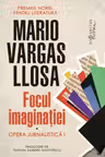 Focul imaginatiei