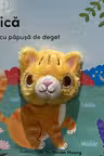 Carte cu papusa de deget. Pisica