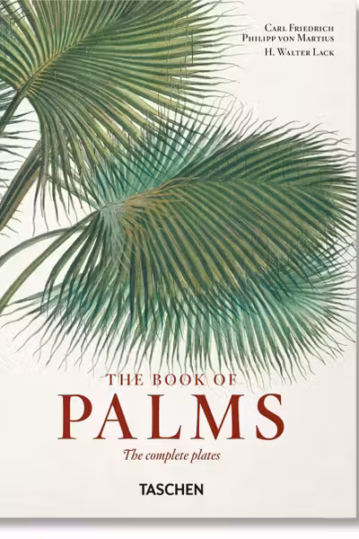 The Book of Palms