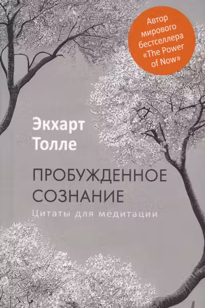 Пробужденное сознание. Цитаты для медитации. Вдохновляющие фрагменты из Новой жизни