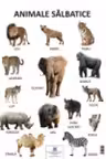 Plansa Animale salbatice