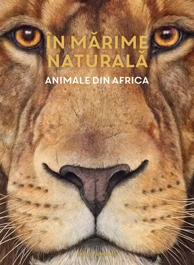 Animale din Africa