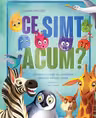 Ce simt acum?