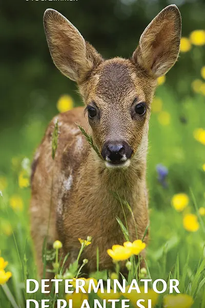 Determinator de plante și animale