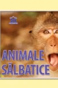 Animale salbatice - 14 imagini cu animale salbatice