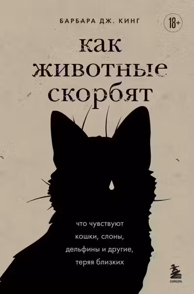 Как животные скорбят. Что чувствуют кошки слоны дельфины и другие теряя близких
