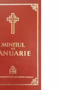 Mineiul pe ianuarie