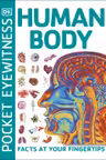 Human Body