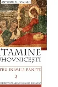 Vitamine duhovnicești pentru inimile rănite 2
