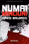 Numai minciuni