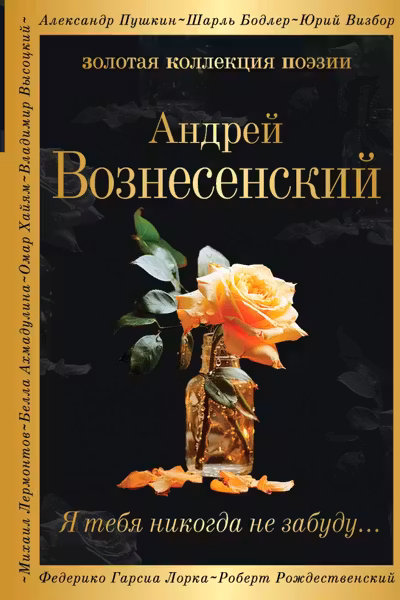 Я тебя никогда не забуду...