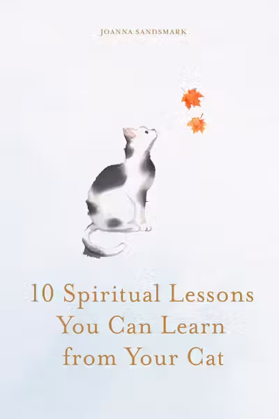 10 Spiritual Lessons You Can Learn from Your Cat