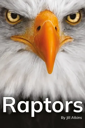 Raptors