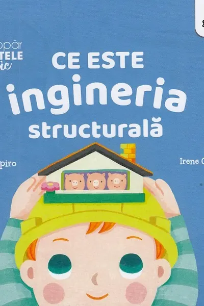 Ce este ingineria structurala