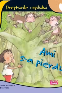 Ami s-a pierdut