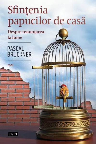 Sfintenia papucilor de casa