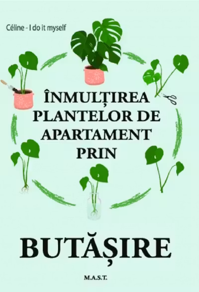 Înmulțirea plantelor de apartament prin butășire