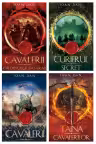 Seria Cavalerii de Ioan Dan. Set 4 carti