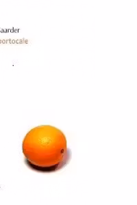 Fata cu portocale